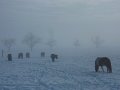 Winter1011 (41)